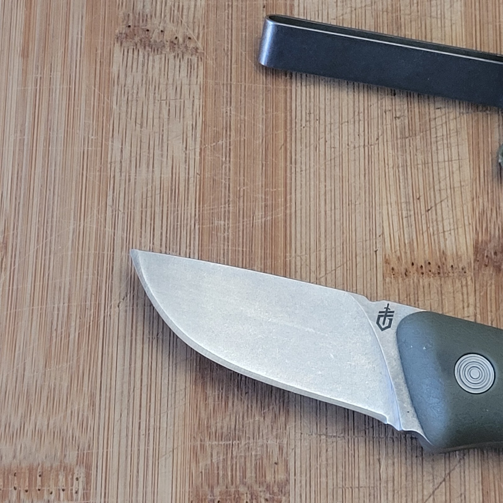 Gerber Spine FIXED BLADE KNIFE 3.7" 7CR17MOV S.S. Blade Bushcraft eBay