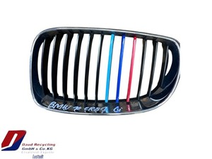 BMW 1er E87 Kühlergrill Links