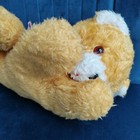 Bild 6 von 8