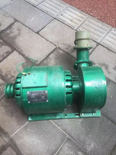 Generador hidroeléctrico 2000W 220V impulso horizontal rueda Pelton turbina de agua - Imagen 14 de 21