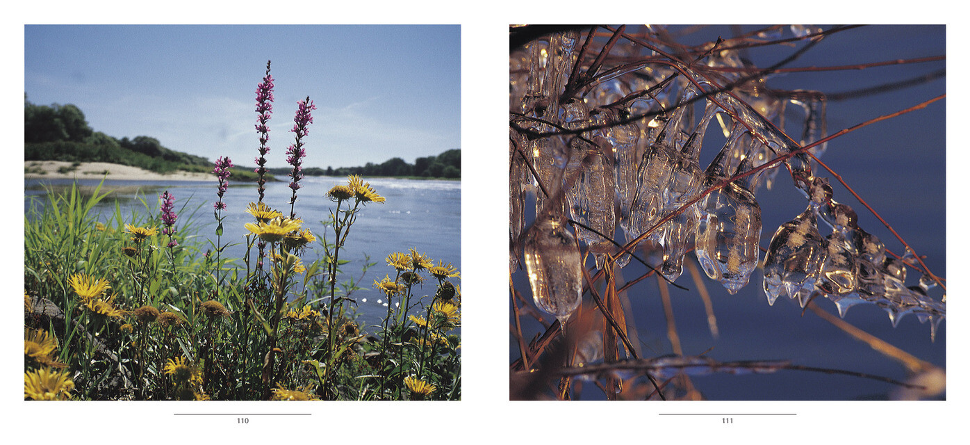 Thumbnail - Wunder Der Elbe Ernst Paul Dörfler