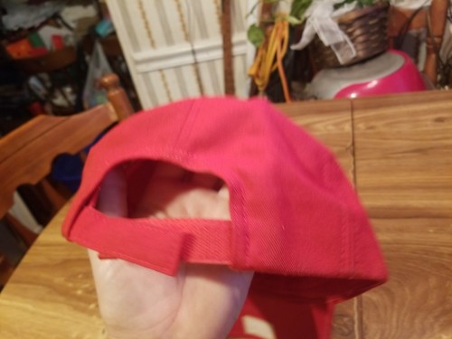 Philadelphia Phillies NL East Champions Hat 2008 Strapback New Era Fits Red Cap - Picture 3 of 6