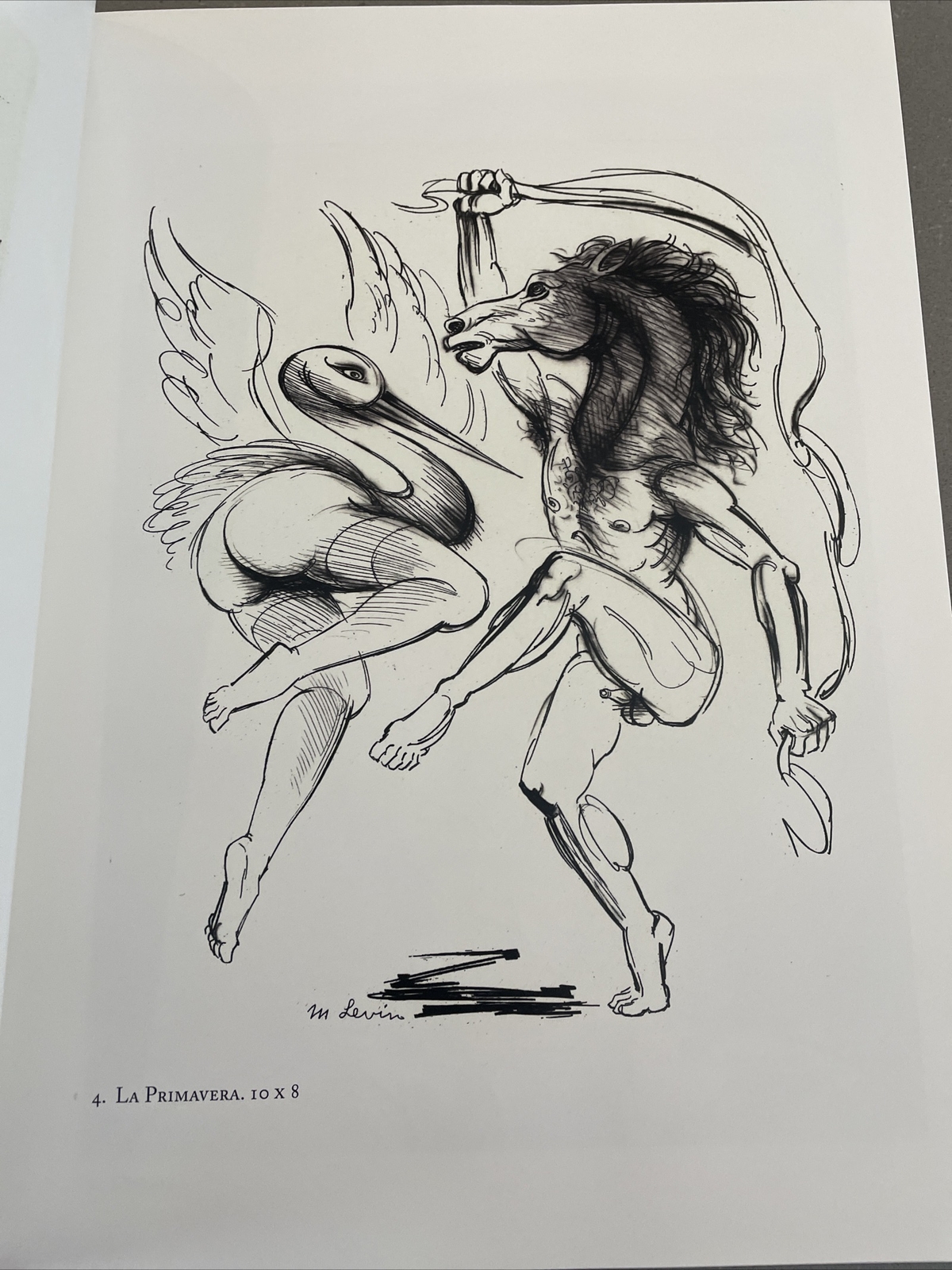 Picture 5 of 12