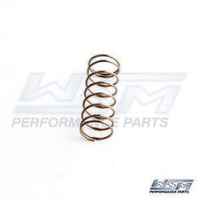 SeaDoo Power Valve Compression Spring 800 3D ...