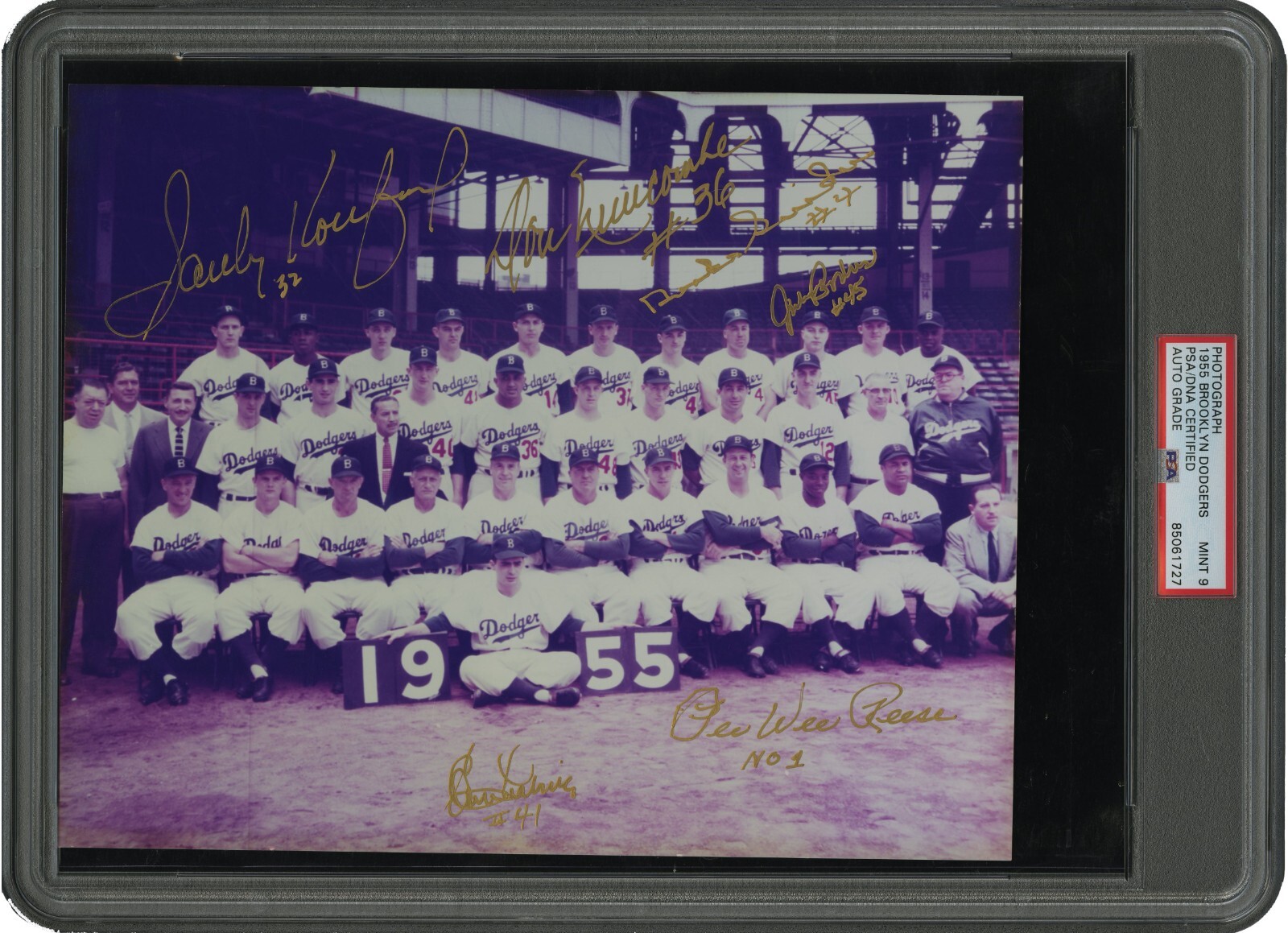 Sandy Koufax Autographed Signed Brooklyn Dodgers 1955 World Series Champs Team Photo PSA Graded 9 MINT 