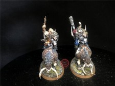Warhammer AOS DPS painted Ogor Mawtribes Mournfang Riders SK6574