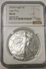 2025-P AMERICAN SILVER EAGLE MS69  EAGLE PRIVY
