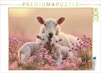Calvendo Puzzle Love That Warms The Heart | 2000 Pieces, Finished Size 35.4 × 26
