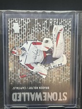 2018-19 Upper Deck #SW-24 Braden Holtby Stonewalled