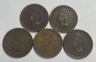 1891 1899 1902 1906 1907 Indian Head Cent Lot of 5