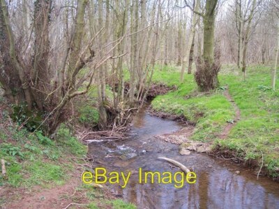 Foto 6x4 The Holly Brook c2006
