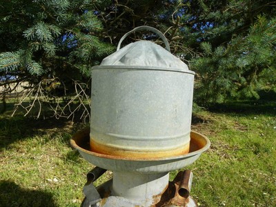 Vintage 2 Gallon Galvanized Steel Chicken Waterer Feeder Cover