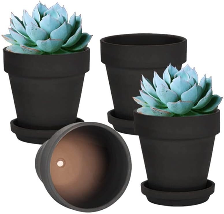 Modern 6 Inch Terracotta Black Pots with Saucer - Perfect for Herbs & Succulents