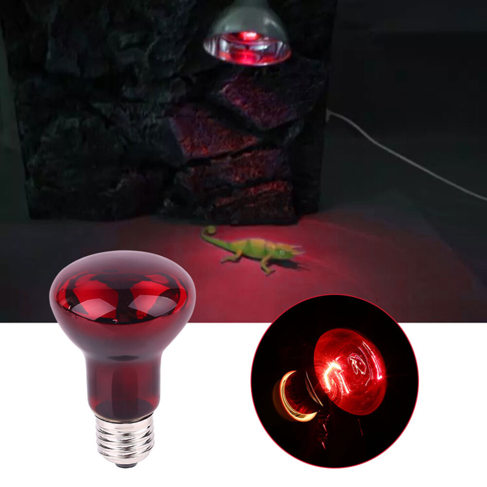 3 Pc Reptile Lights Hedgehog Bulbs Lizard Heat Lamp Amphibious eBay