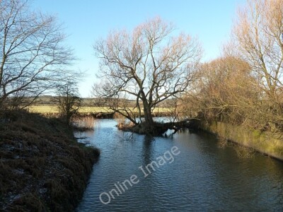 Photo 6x4 Tree in backwater The Alders This is a tiny offshoot of the Riv c2011