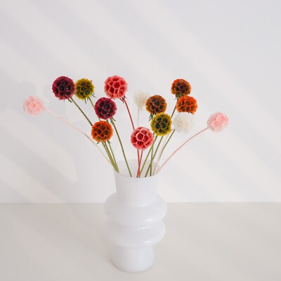 10 Stiele Drumstick Scabiosa konservierte Blumen in mehreren Farben erhältlich