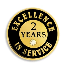 PinMart's Gold Plated Excellence in Service 2 Year Award Lapel Pin