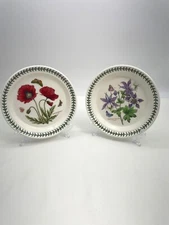 Portmeirion Botanic Garden Poppy Dragonfly Salad Plates