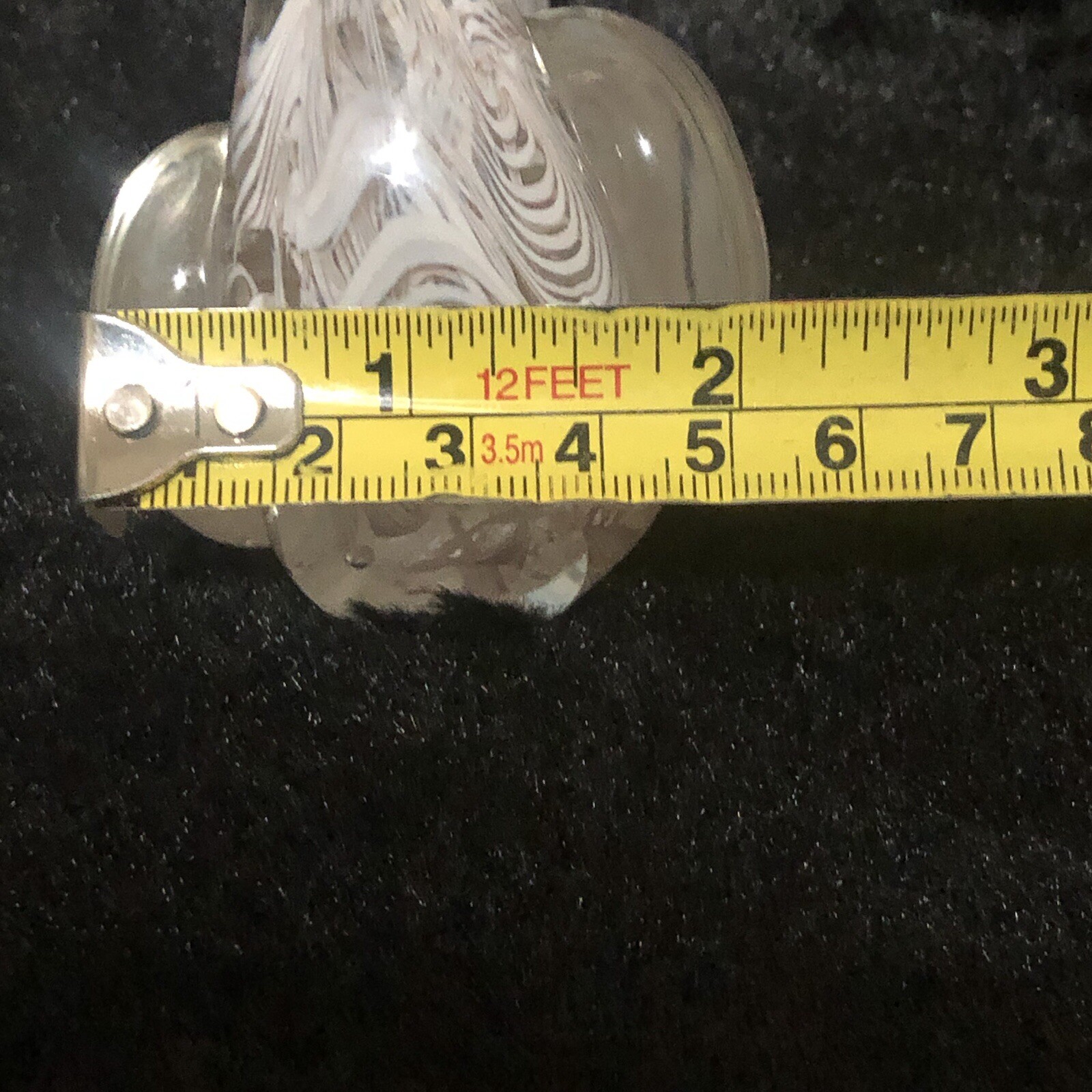 Picture 11 of 11