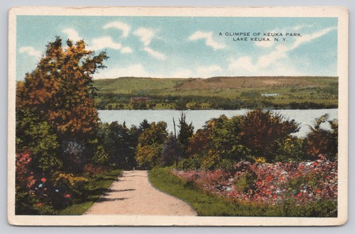 Keuka Park New York Lake View Glimpse Scene White Border Postcard Unposted