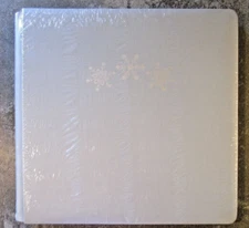 Creative Memories 12x12 WINTER DAYS Pale Blue Shimmer Foiled Album Cover 2021 Nw