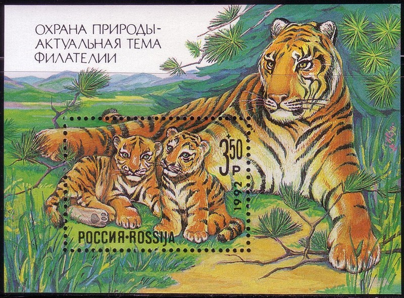 Russia 1992. Tiger. S/S Scott # B185. MNH, VF