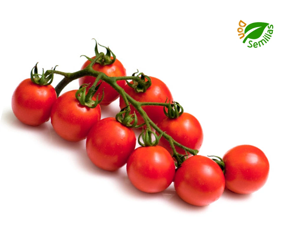 Tomate Cherry Cereza Rojo ( 100 semillas ) seeds * tomato Cerise Red