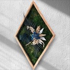 Hanging Wall Decoration with  Moss - Handmade, Art , Interior Design, Plants 