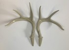 New ListingSet Of Delta Plastic Deer Antlers Decor Outdoors Hunting