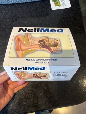 3D Scientific Human Ear Anatomical Display Model Inner Canal Pharma Design- New