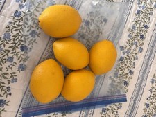 Lot 5 Faux LEMONS Yellow Fruit Plastic 4 Spring