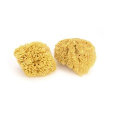 Small 45 Inch Caribbean Natural Sea Bath Sponge EcoFriendly Exfoliating 2PCS