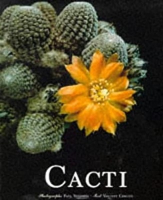 Cacti Hardcover Vincent Cerutti
