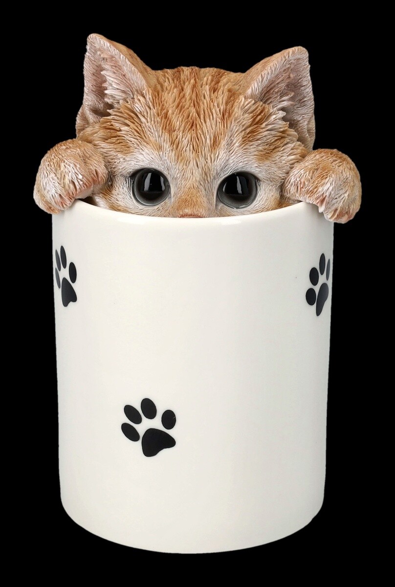 Treat Container - Tabby Cat By HotAnt - Male Breeder Kitten Cookies Storage