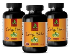 super antioxidant supplement - GINKGO BILOBA 120 - brain health diet 3 BOTTLE