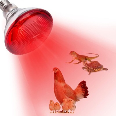 2pcs 200W Heat Bulbs 250W for Piglets Chicken Coops and Brooder Red Light