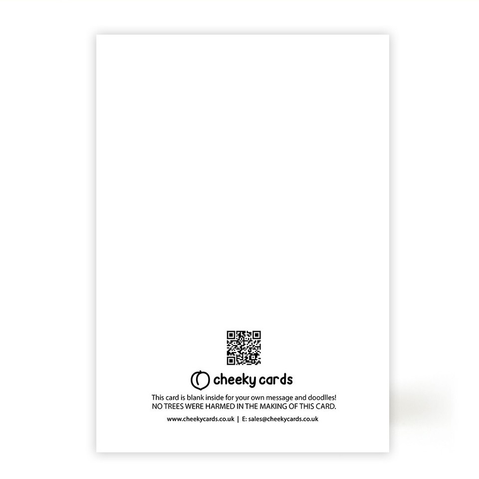 GAVIN AND STACEY NESSA CHRISTMAS CARD eBay