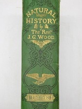 1869 BIRDS Illustrated Natural