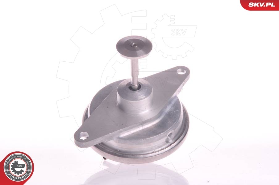 Fits SKV GERMANY 14SKV022 EGR VALVE OPEL ASTRA G / VECTRA B / OMEGA B ⭐UK Stock⭐