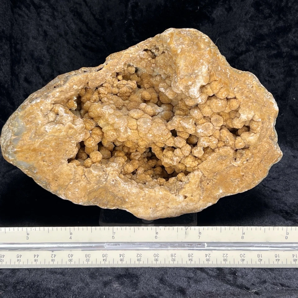 6-1/2” Quartz Geode Natural Honey Orange Botryoidal Chalcedony Crystal Specimen - Image 3 of 4