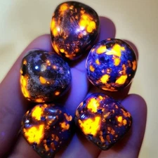 5Pcs Natural Yooperlite Tumbled Stone Polished Flame Stone UV Reactive Crystals