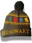 Harry Potter Hogwarts Beanie Cap Hat House Crest Gryffindor Slytherin Rave Huff — photo 2