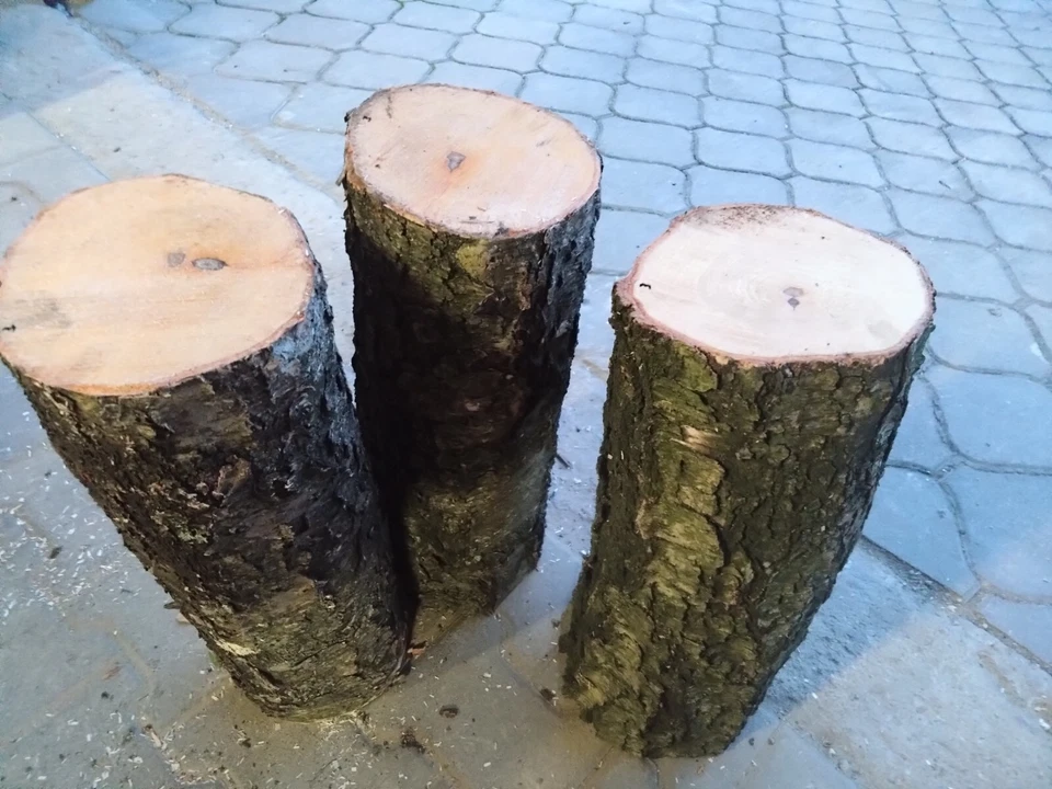 Birkenstamm, Birkenholz, Birkenscheibe, Dekosäule, Blumensäule, Honig, Geschenk, - Bild 3 von 4