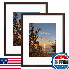 Golden State Art, 16x20 Picture Frames with Mat for 11x14 or 16x20 Picture Colla