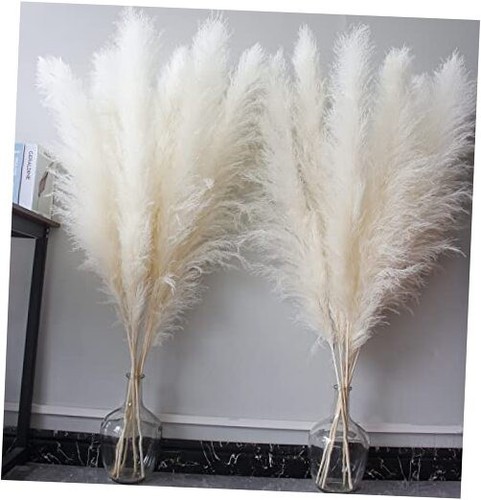 46" inch 10 Stems Pampas Grass Decor Tall, Dry Flowers for Floor Vases Cream