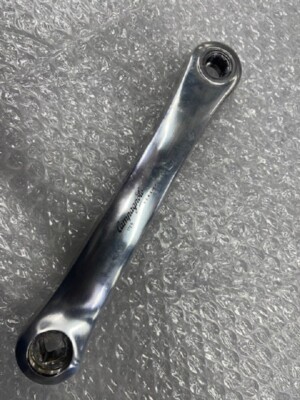 Campagnolo Veloce シフター 2x10s Campagnolo Veloce QS Escape Ergo Shifters: 10 Speed 2x10