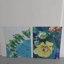 Modern Prints (6) Unframed 8x10" of Succulents, Flowers, Cactus by SignWin