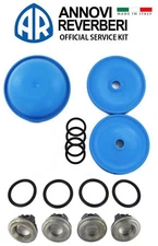Hypro D30 Diaphragm and Valve Pump Repair Kit - D30 REPAIR KIT Best Quality Kit