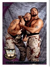 2010 Topps WWE #101 The Bushwhackers