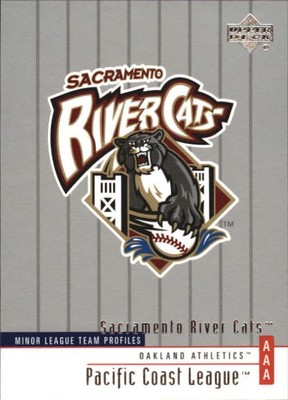 A7980- 2002 UD Minor League BB Karten 251-400 RARE -You Pick-
